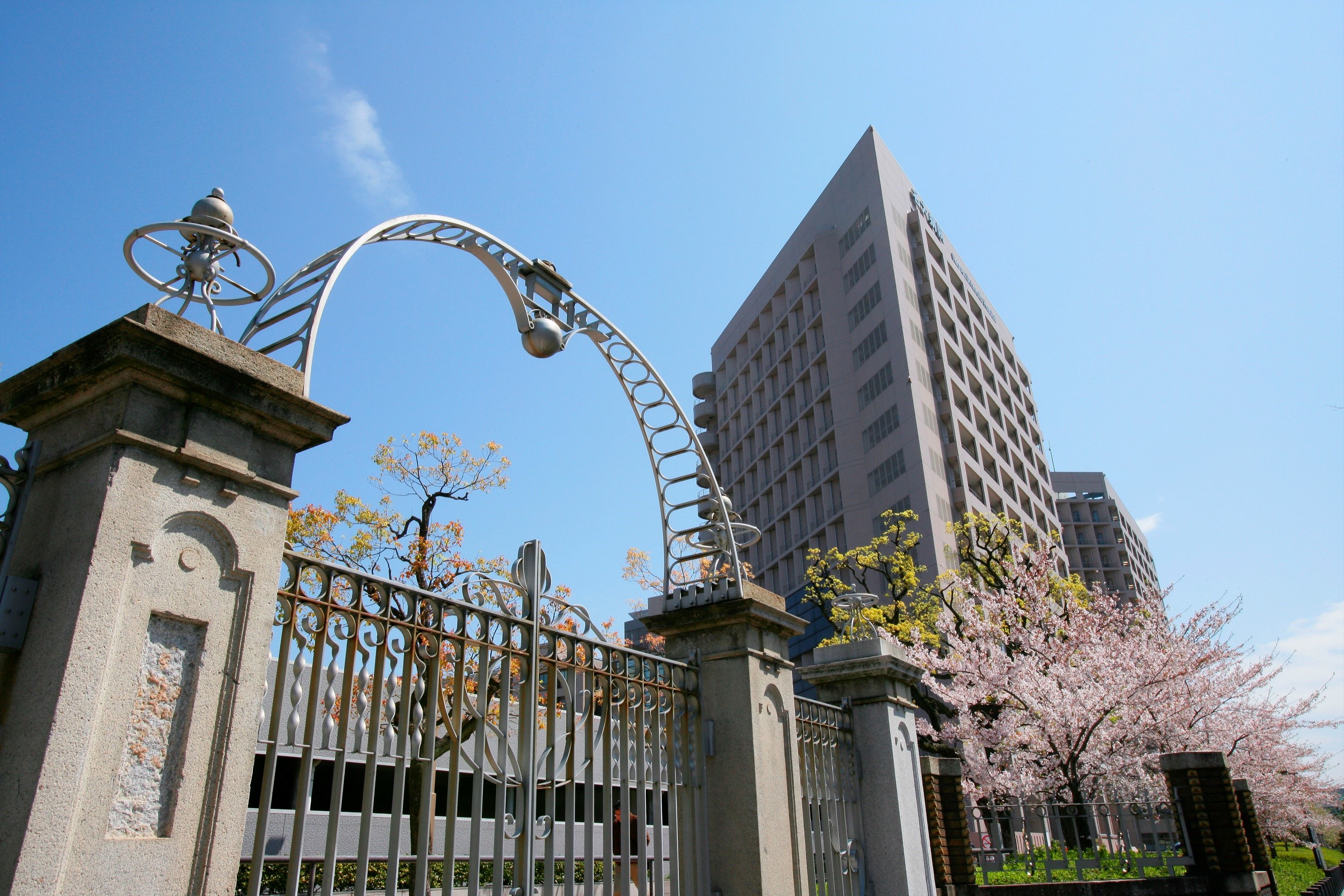 入試情報